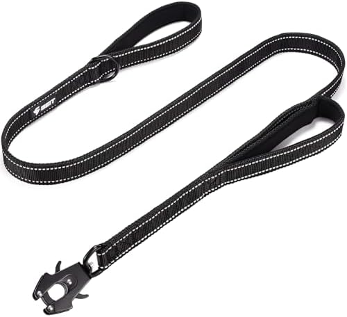 Double Handle Dog Leash - Black, 4 ft