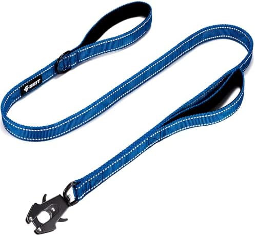 Double Handle Dog Leash - Blue, 6 ft