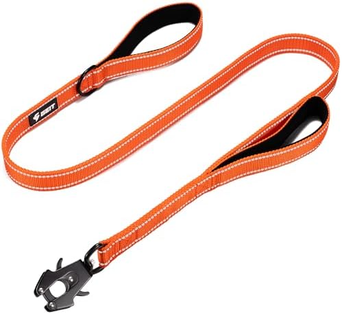 Double Handle Dog Leash - Orange, 6 ft