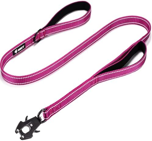 Double Handle Dog Leash - Rose, 5 ft