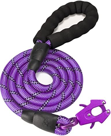 Frog Clip Dog Leash - Purple, 1/2" x 5 ft